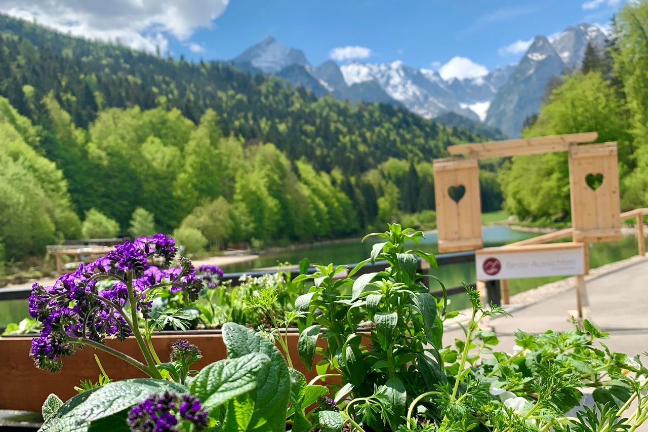 Kräutergarten im Riessersee Hotel