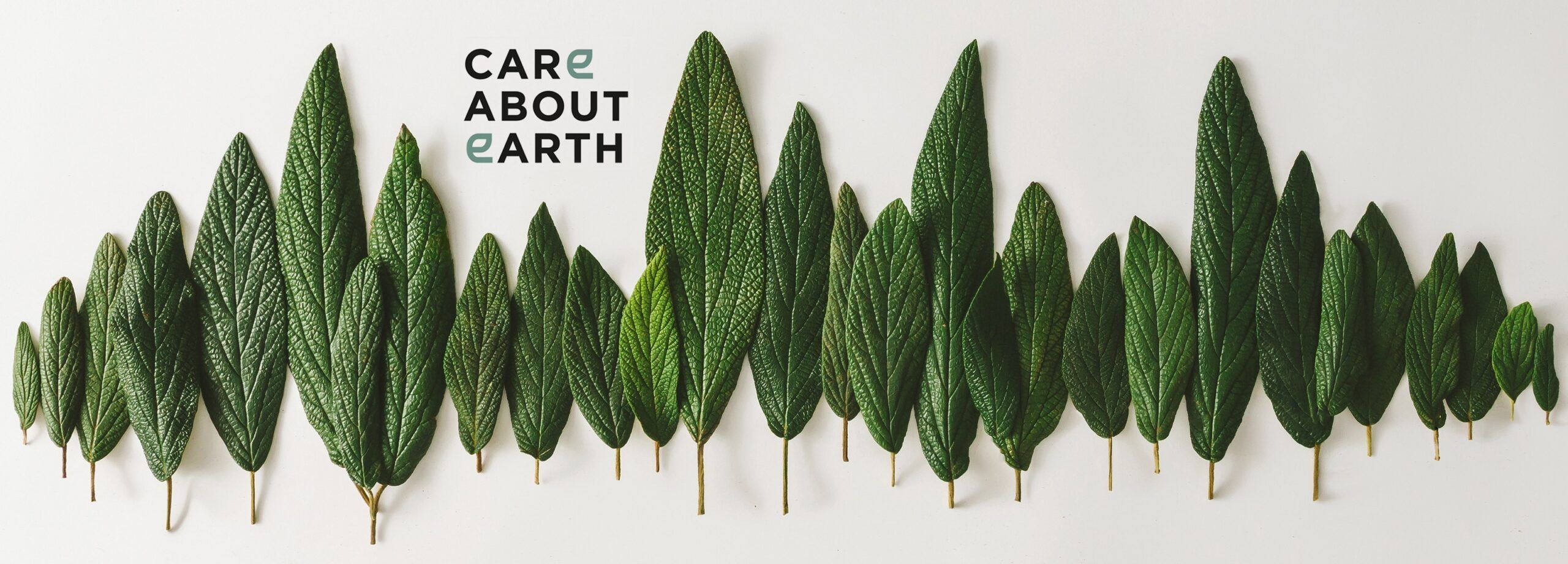 Header Care About Earth