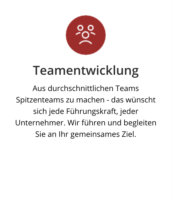 Teamentwicklung Moritz Consulting Beschreibung