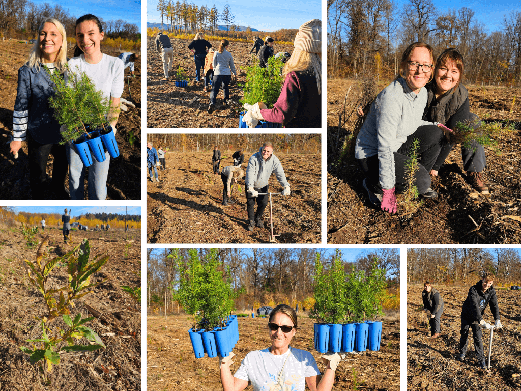 GreenSign Baumpflanzaktion 2025