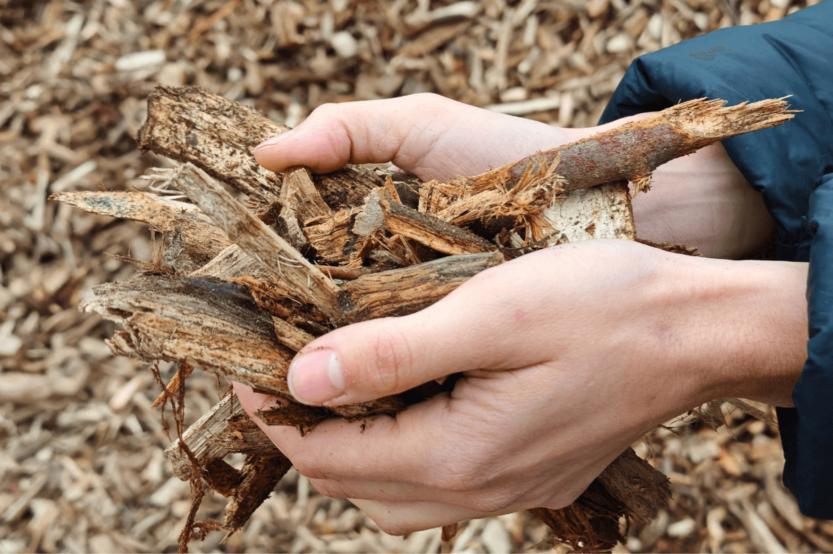 Nahwärme & Biomasse im Gastgewerbe – Hackschnitzel für die Energieversorgung