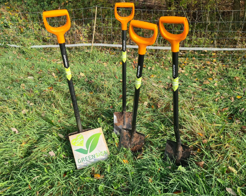 GreenSign Team pflanzt Bäume