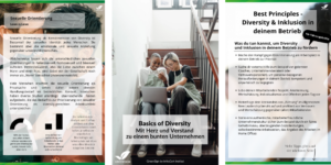 Screenshot Diversity eBook