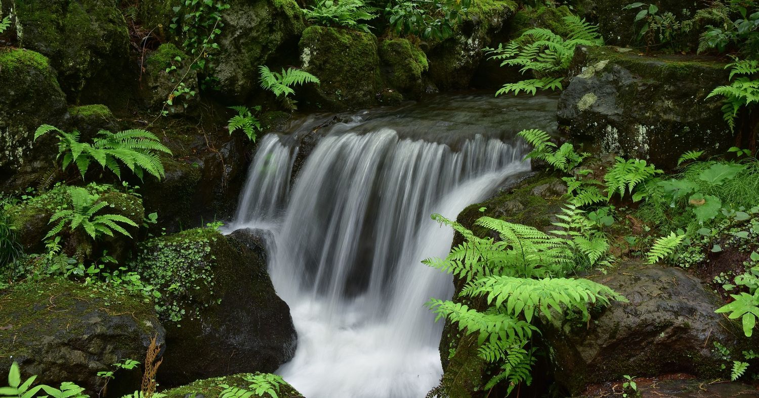 Wasserfall Wald