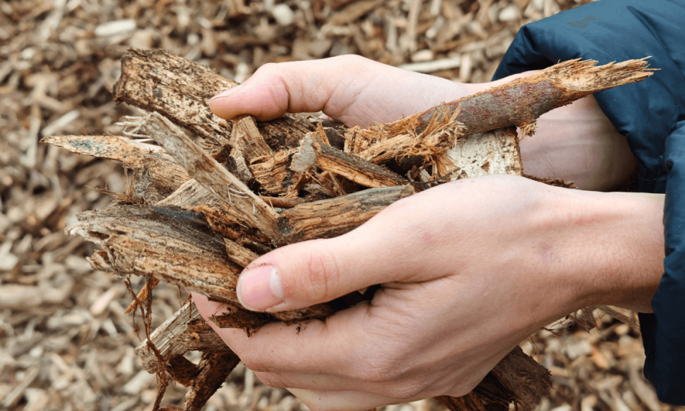 Nahwärme & Biomasse im Gastgewerbe: Best Practice Wasem Kloster Engelthal