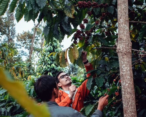 Männer stehen vor Baum